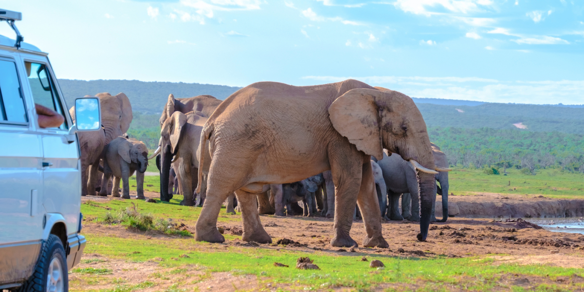 Study Abroad in South Africa (Stellenbosch University)