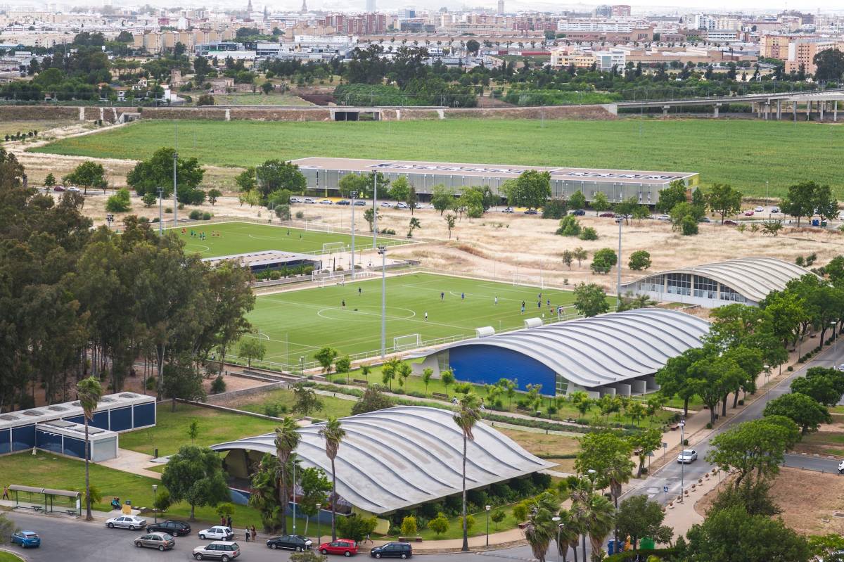 Study Abroad in Spain (Universidad Pablo de Olavide)