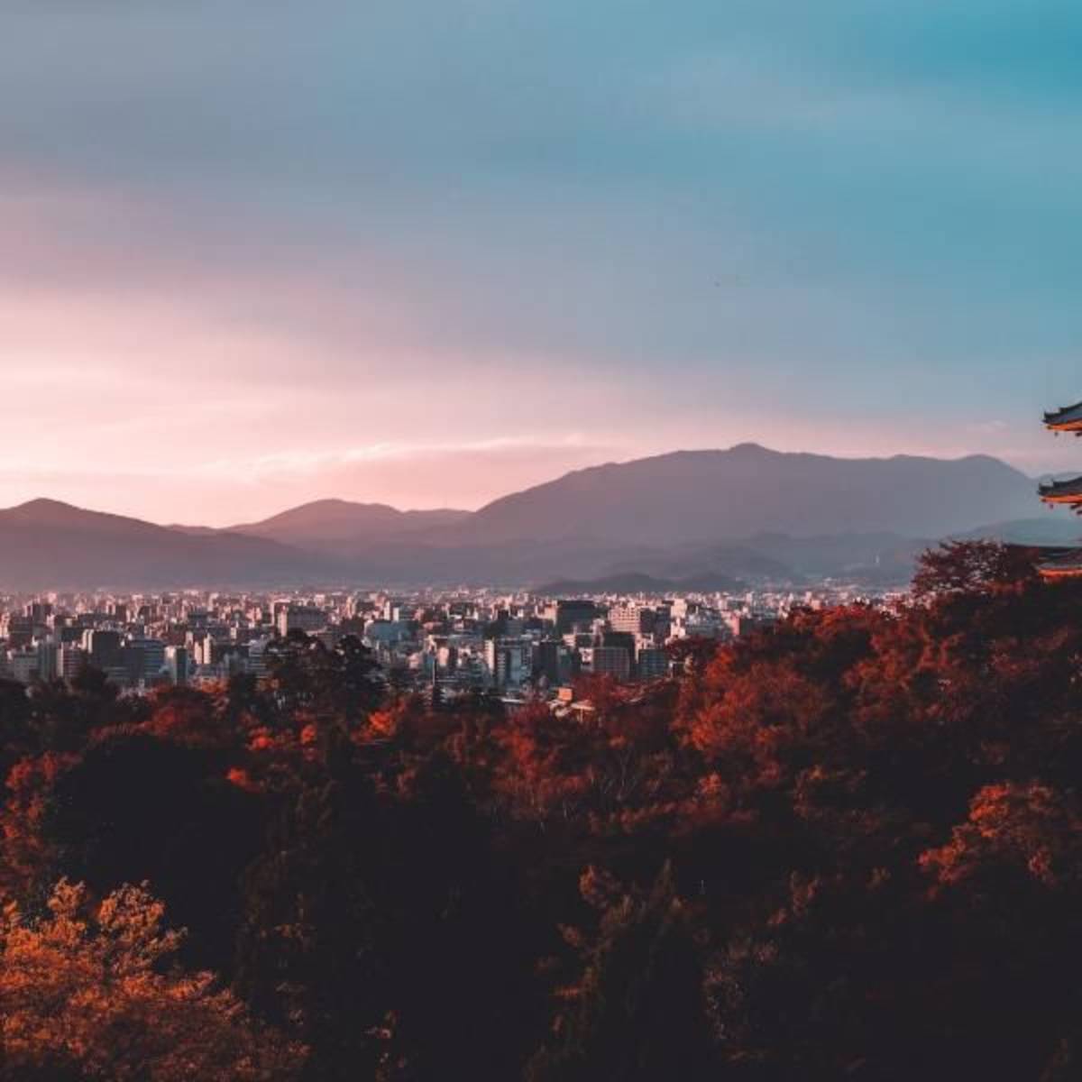 Japan Interns