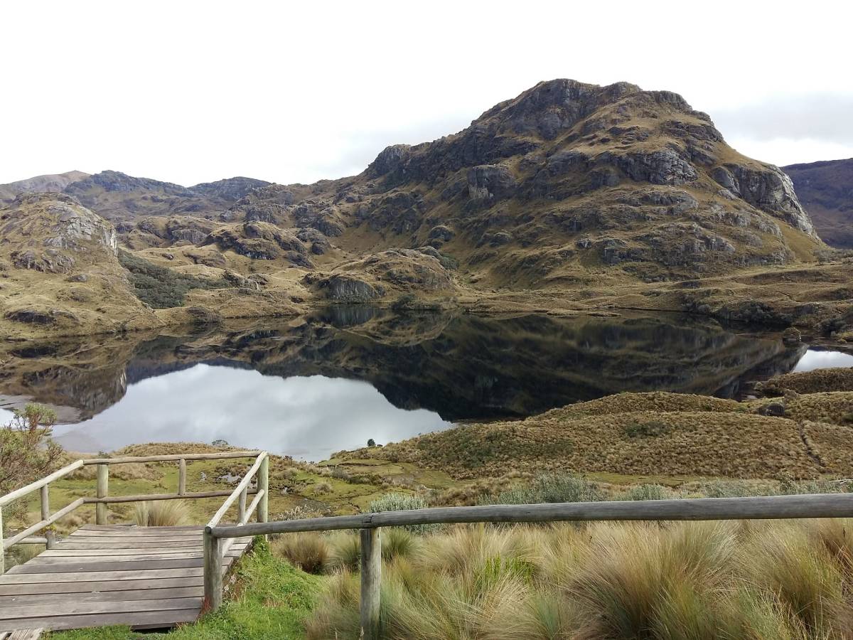 Summer Ecuador: Environmental Science and Conservation Track3