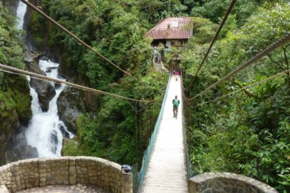 Summer Ecuador: Environmental Science and Conservation Track4