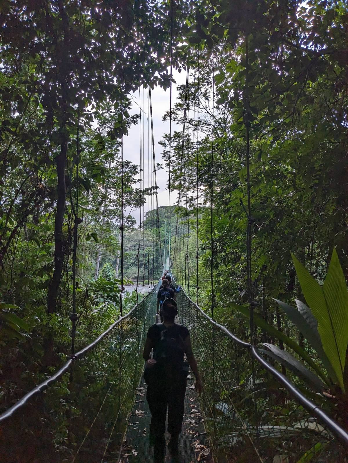 Sustainable Development Micro-Internship in Costa Rica