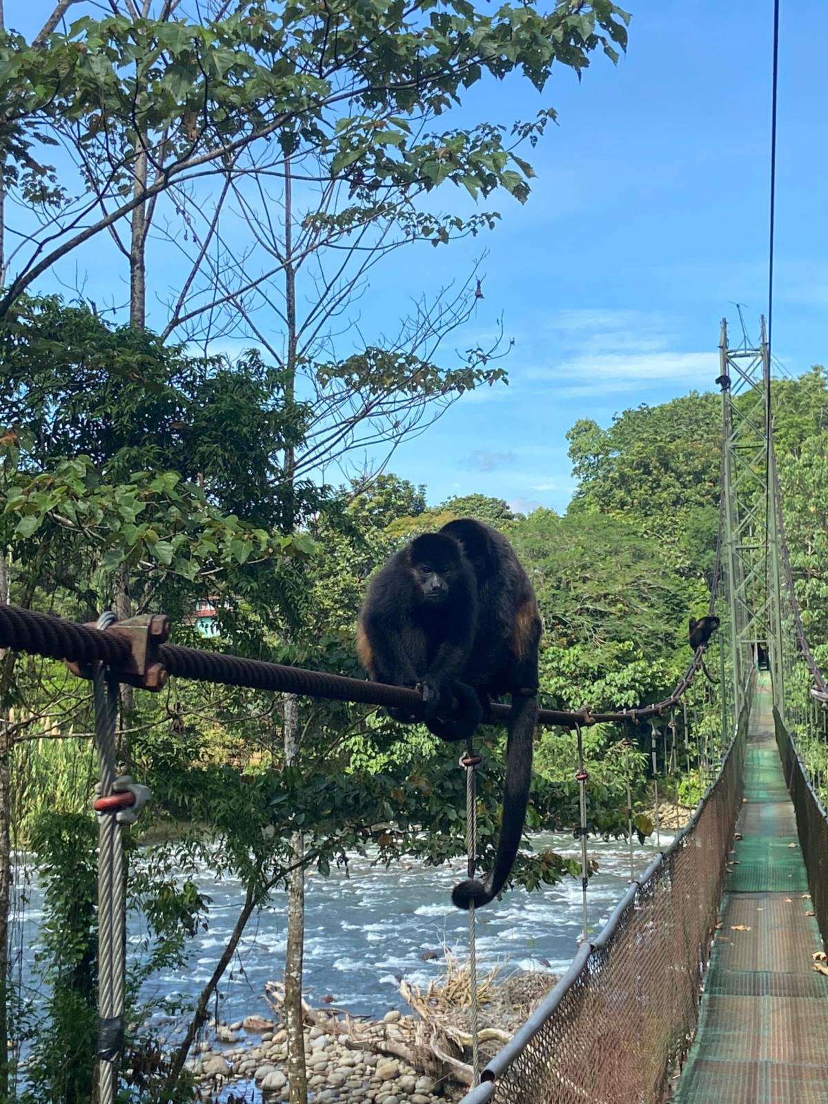 Sustainable Development Micro-Internship in Costa Rica