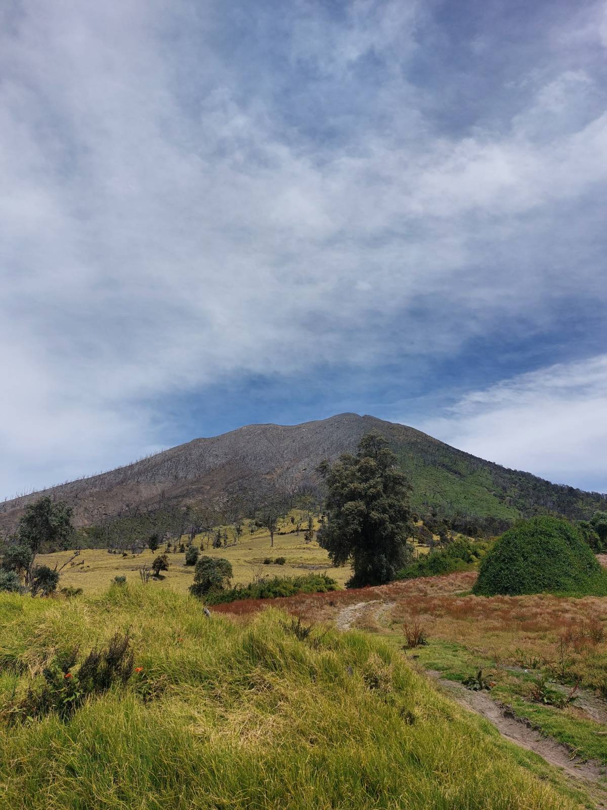 Sustainable Development Micro-Internship in Costa Rica