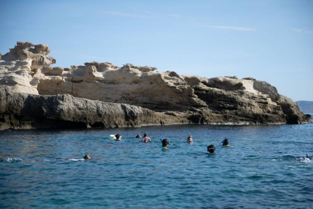 swimming in baja