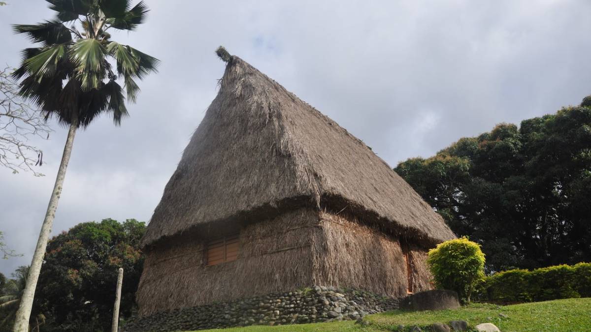 Thatch-roof house in tropical area.