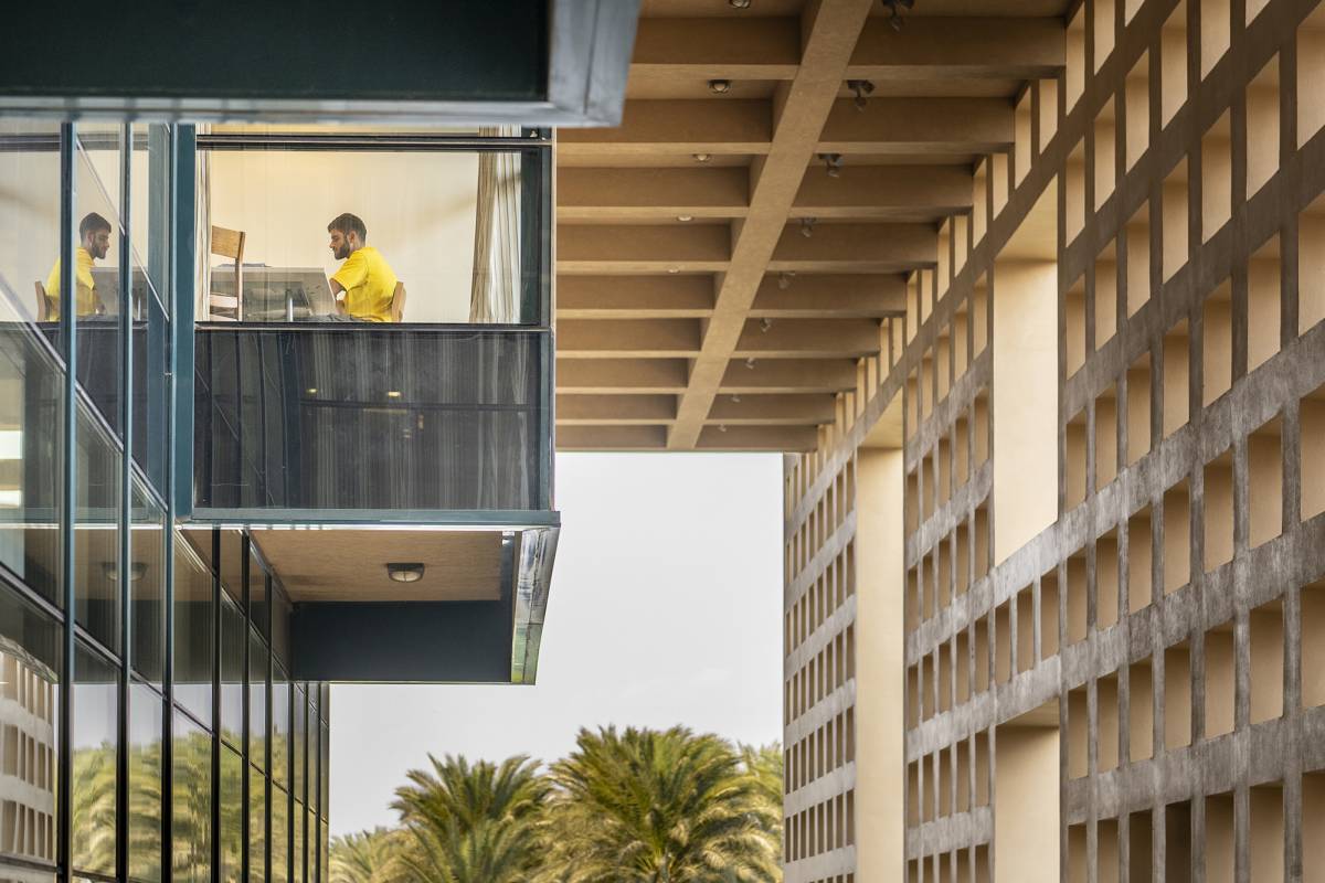 The American University in Cairo