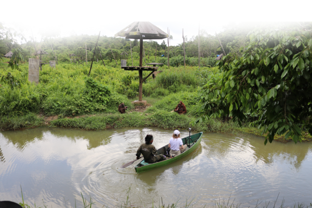 The Black River