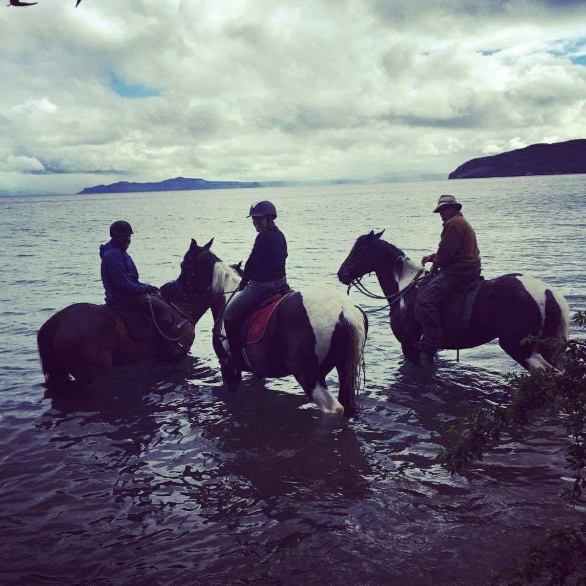 three horses riders in the lake with horses in New Zealand 