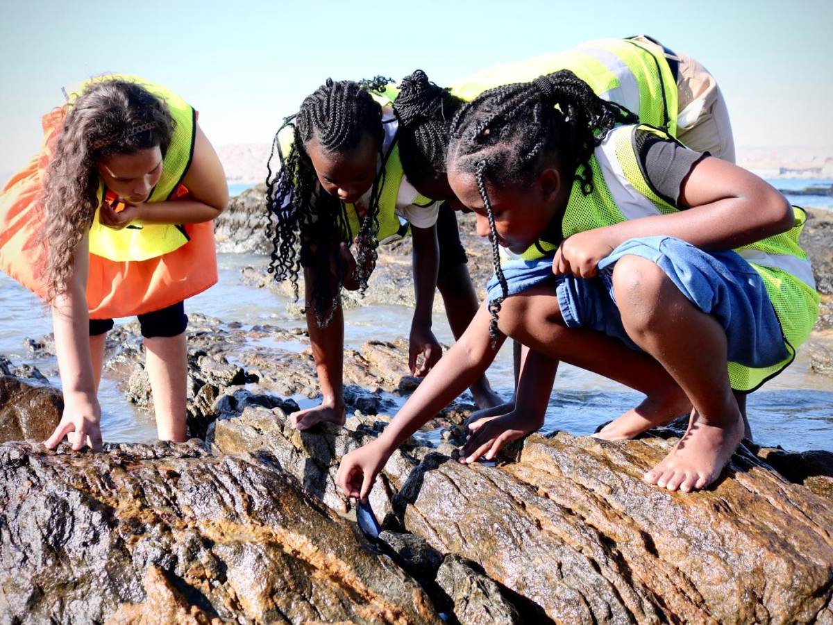 Three primary school students in hi-vis vests crouch over a rock pool on the Lüderitz coastline, examining marine life up close.