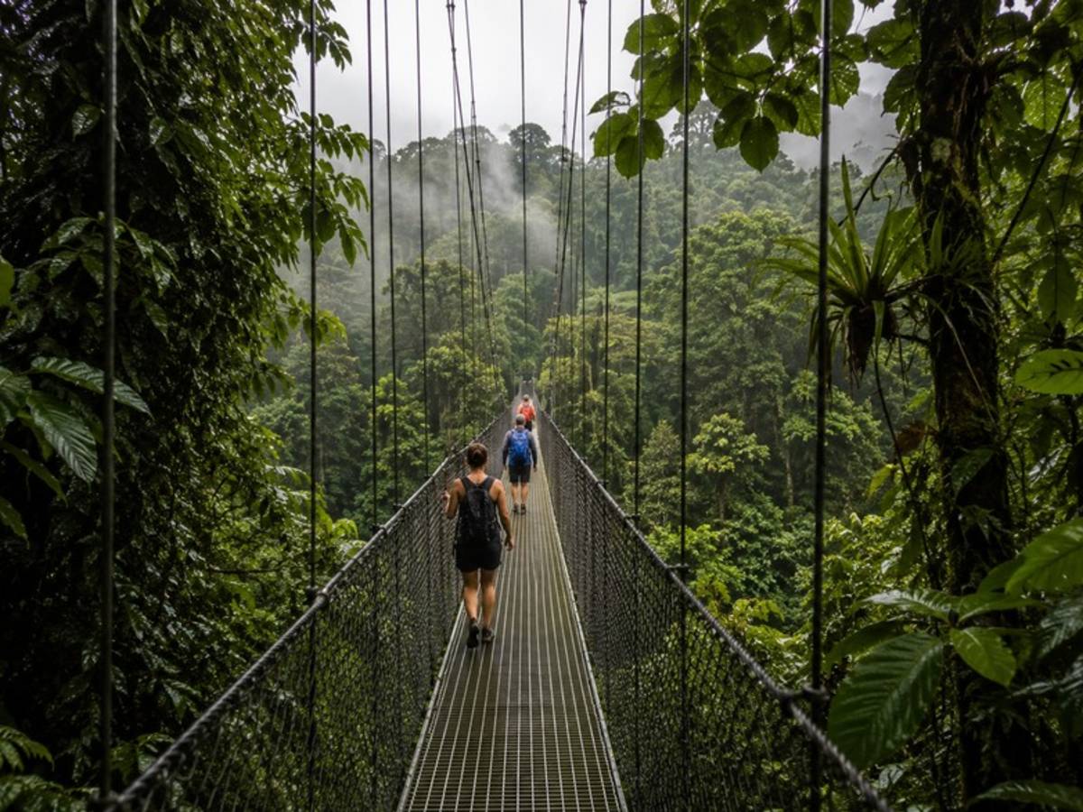 Travellers crossing a rainforest suspension bridge