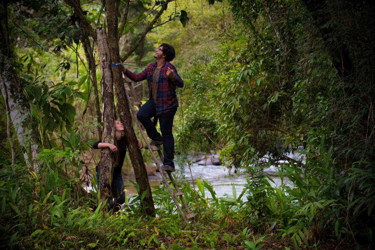 Tree Inventory