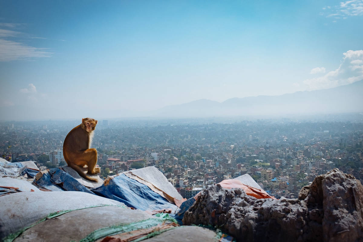 Trek & Teach Nepal