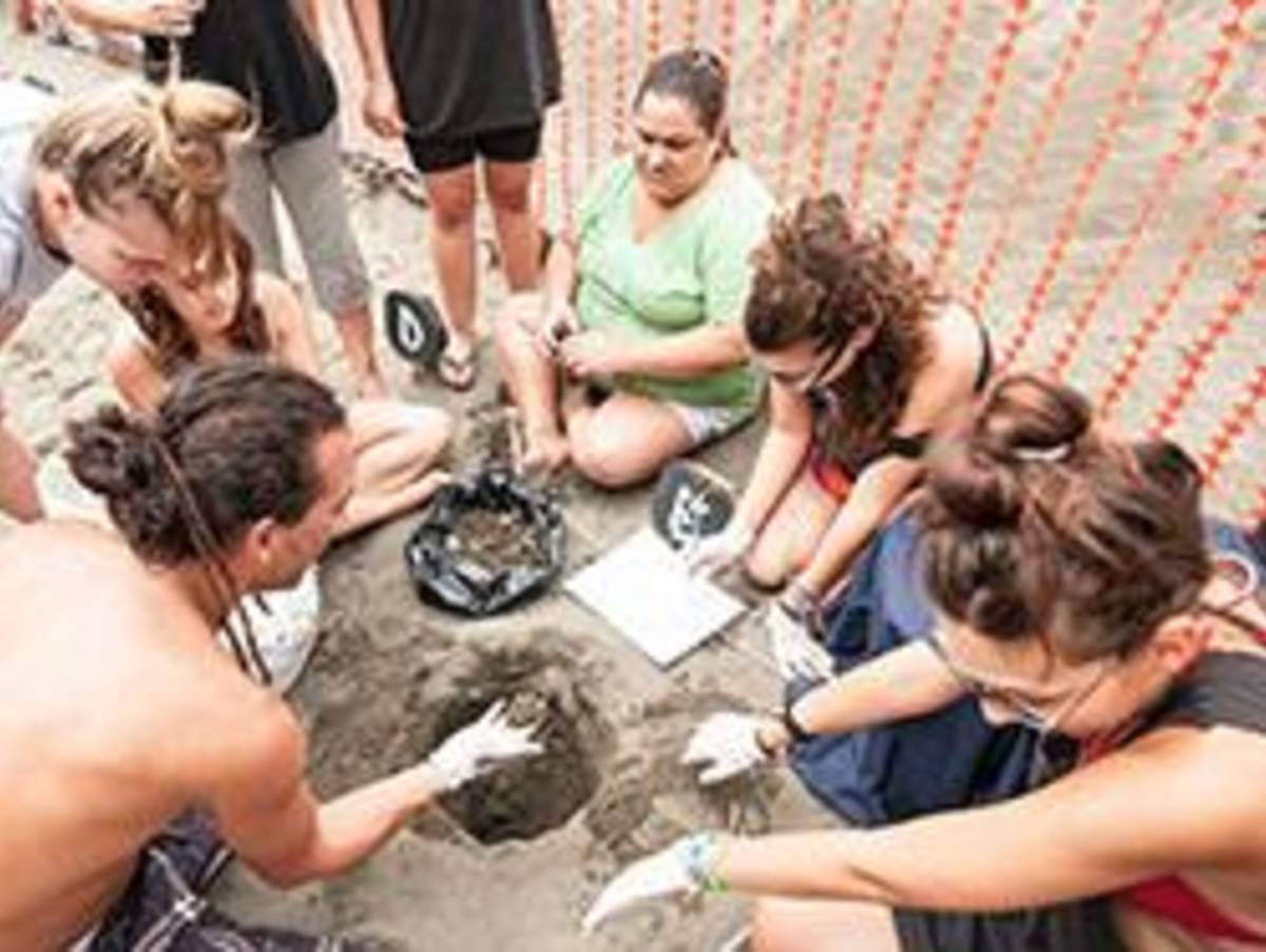 Turtle Conservation Program in Costa Rica with Love Volunteers!