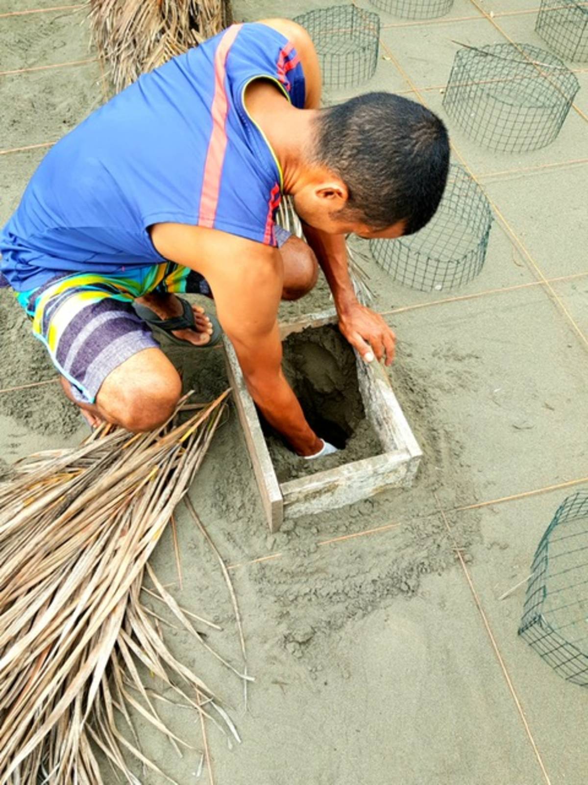 Turtle Conservation Program in Costa Rica