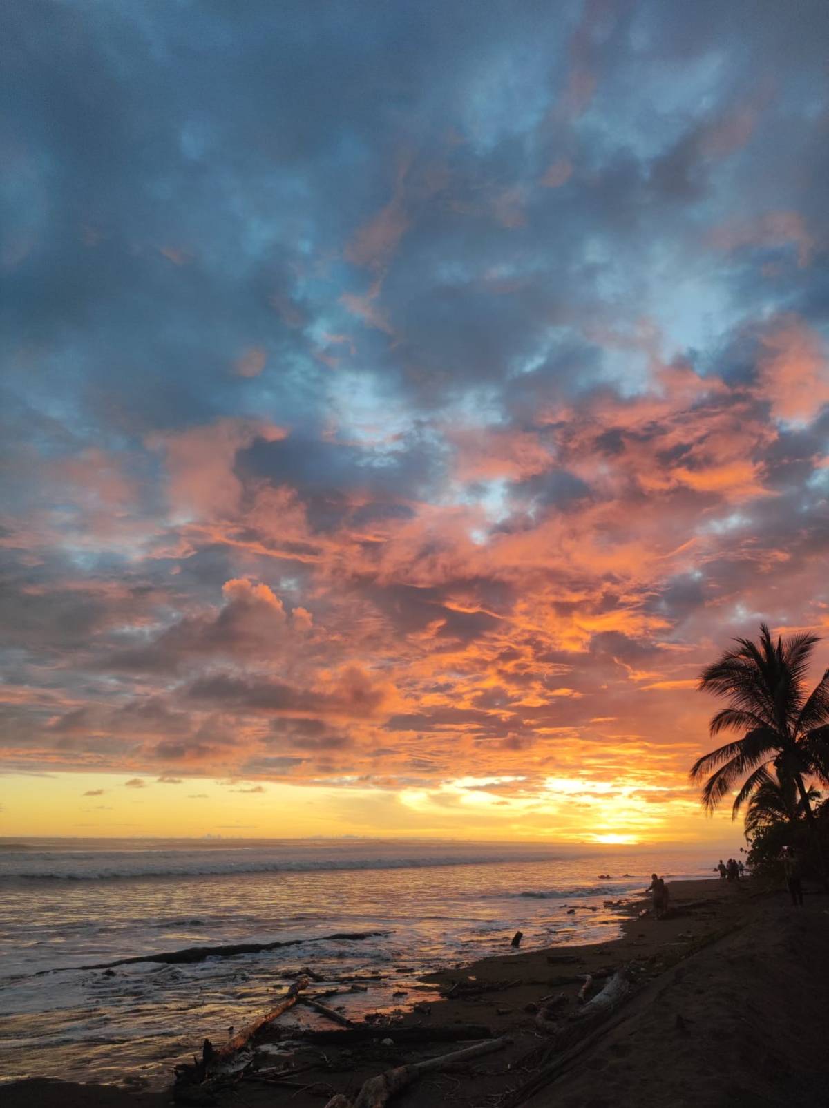 Turtle Conservation Program in Costa Rica