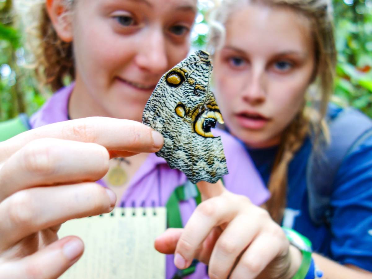 Two students studying a butterfly