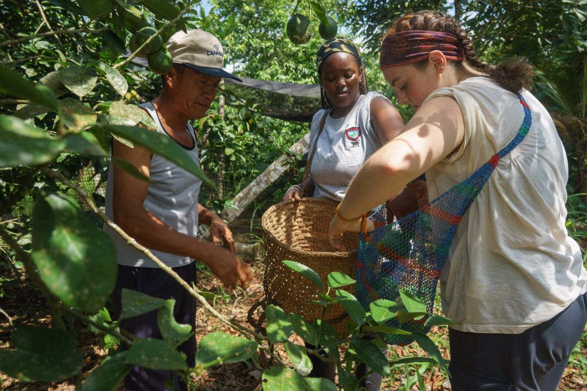 Two young women and a man look at item being placed into woven bag, in dense vegitation.