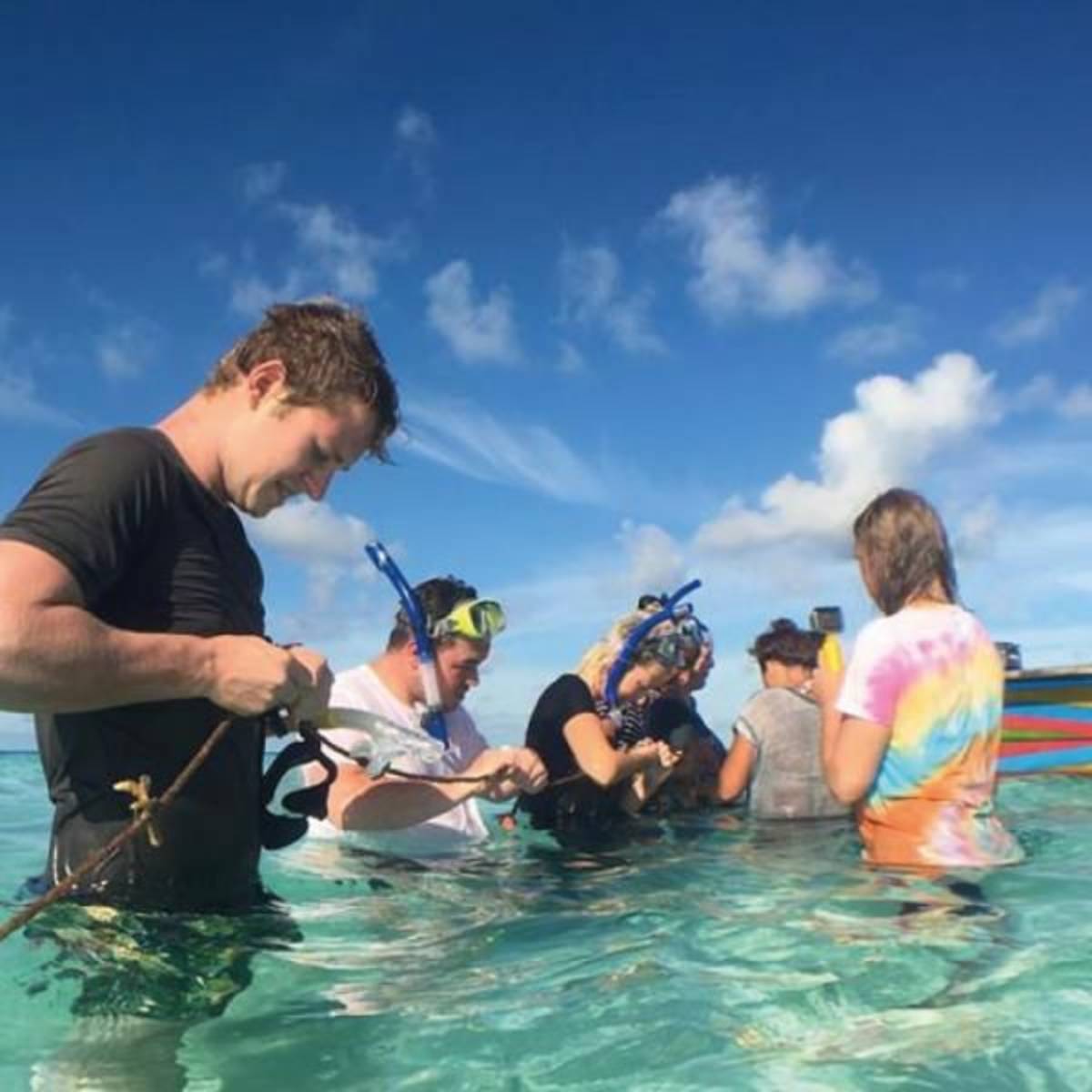 Volunteer in Marine Conservation