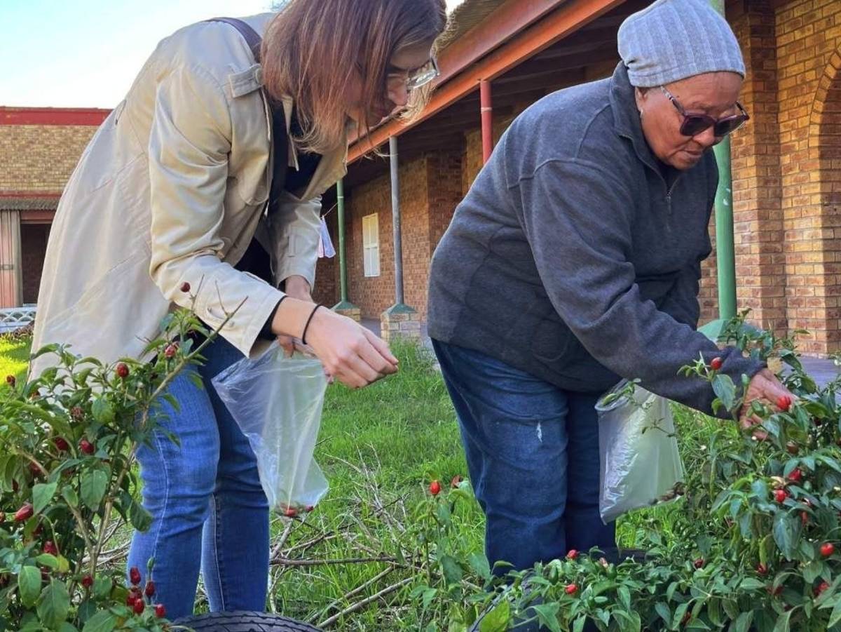 Urban Farming in Cape Town, South Africa