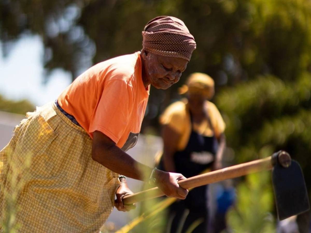 Urban Farming in Cape Town, South Africa