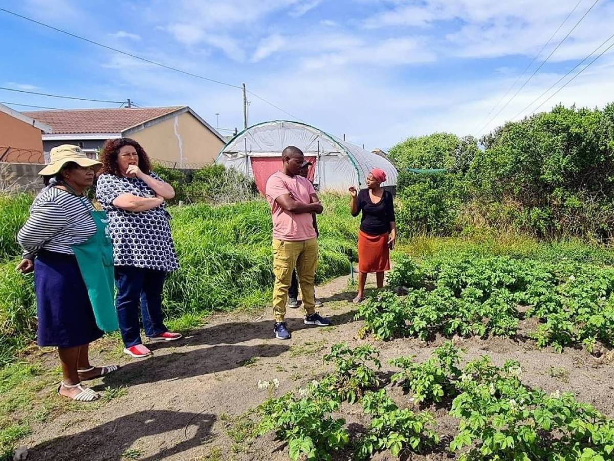 Urban Farming in Cape Town, South Africa