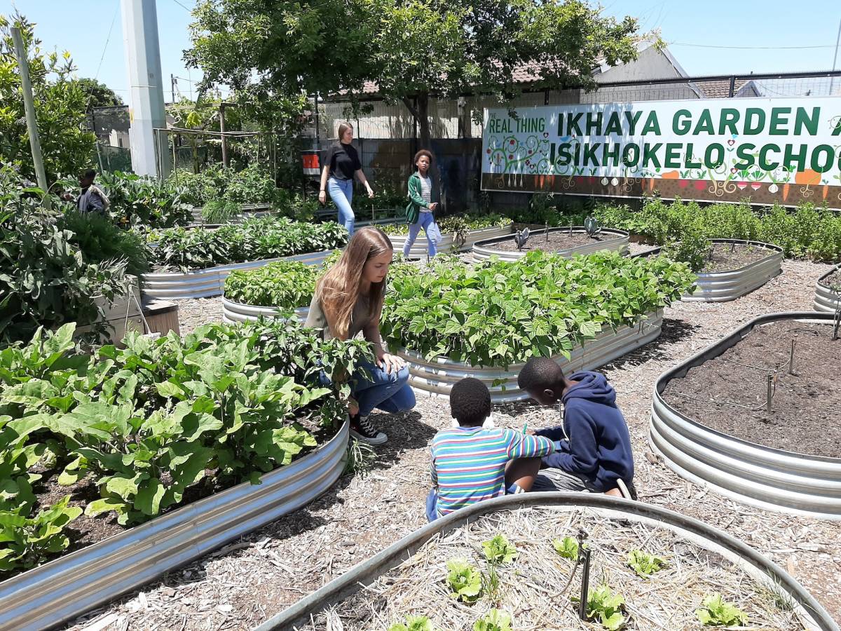 Urban Farming Internship in Cape Town, South Africa