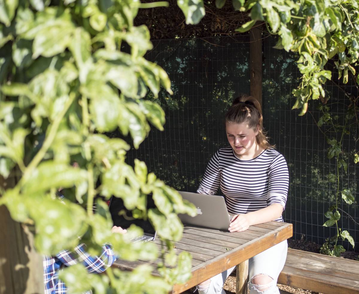 Urban Farming Internship in Cape Town, South Africa