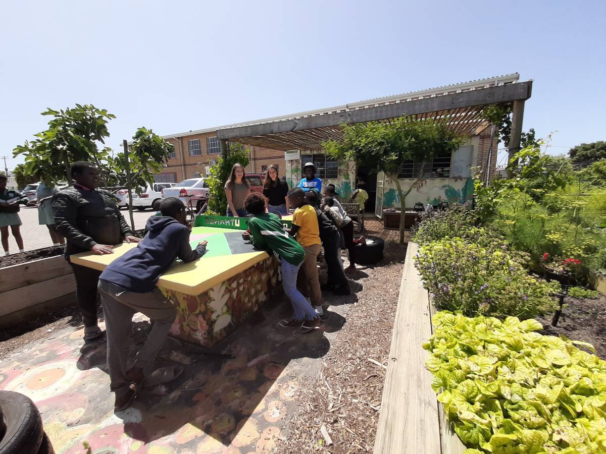 Urban Farming Internship in Cape Town
