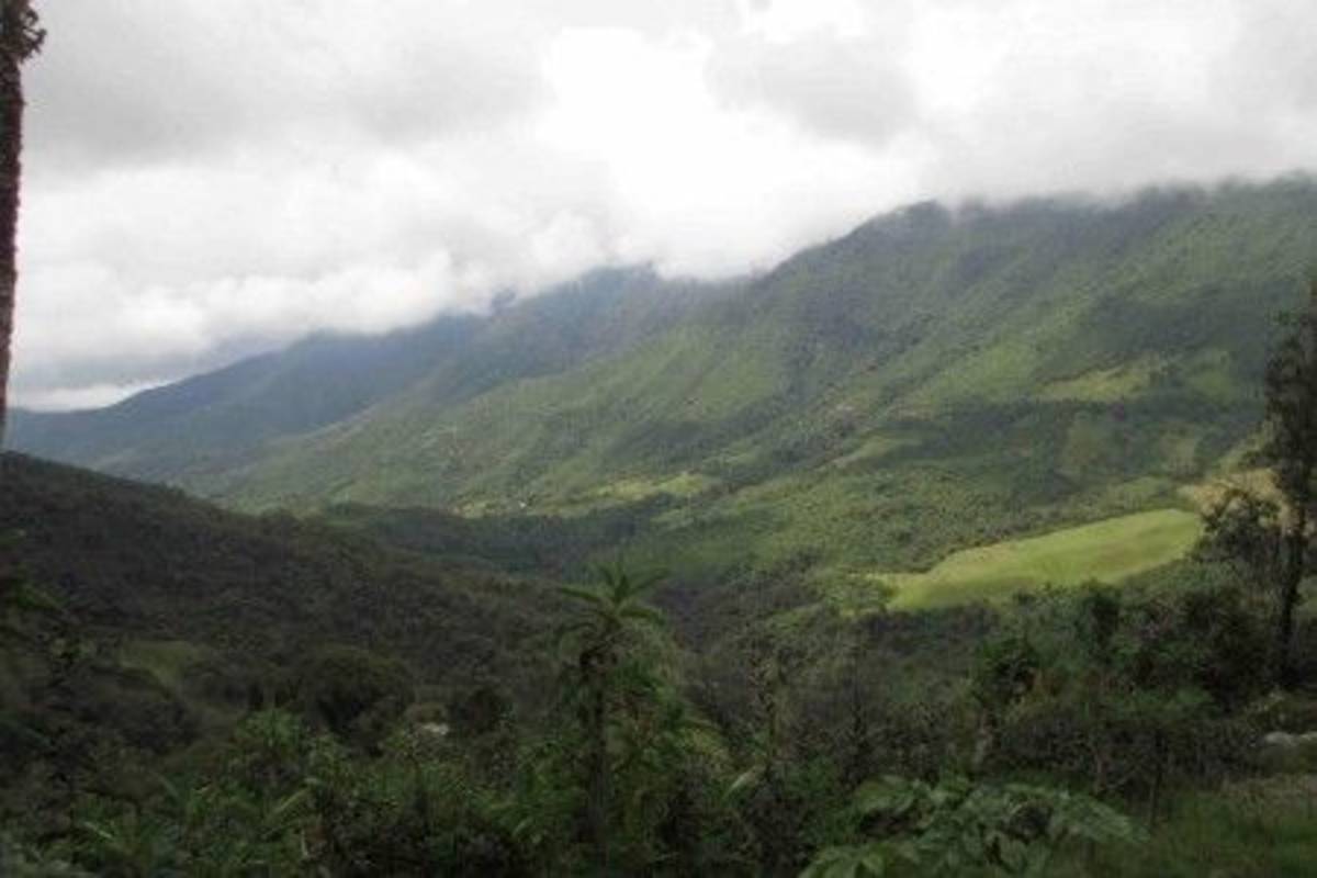 Ecotourism tour at the valley