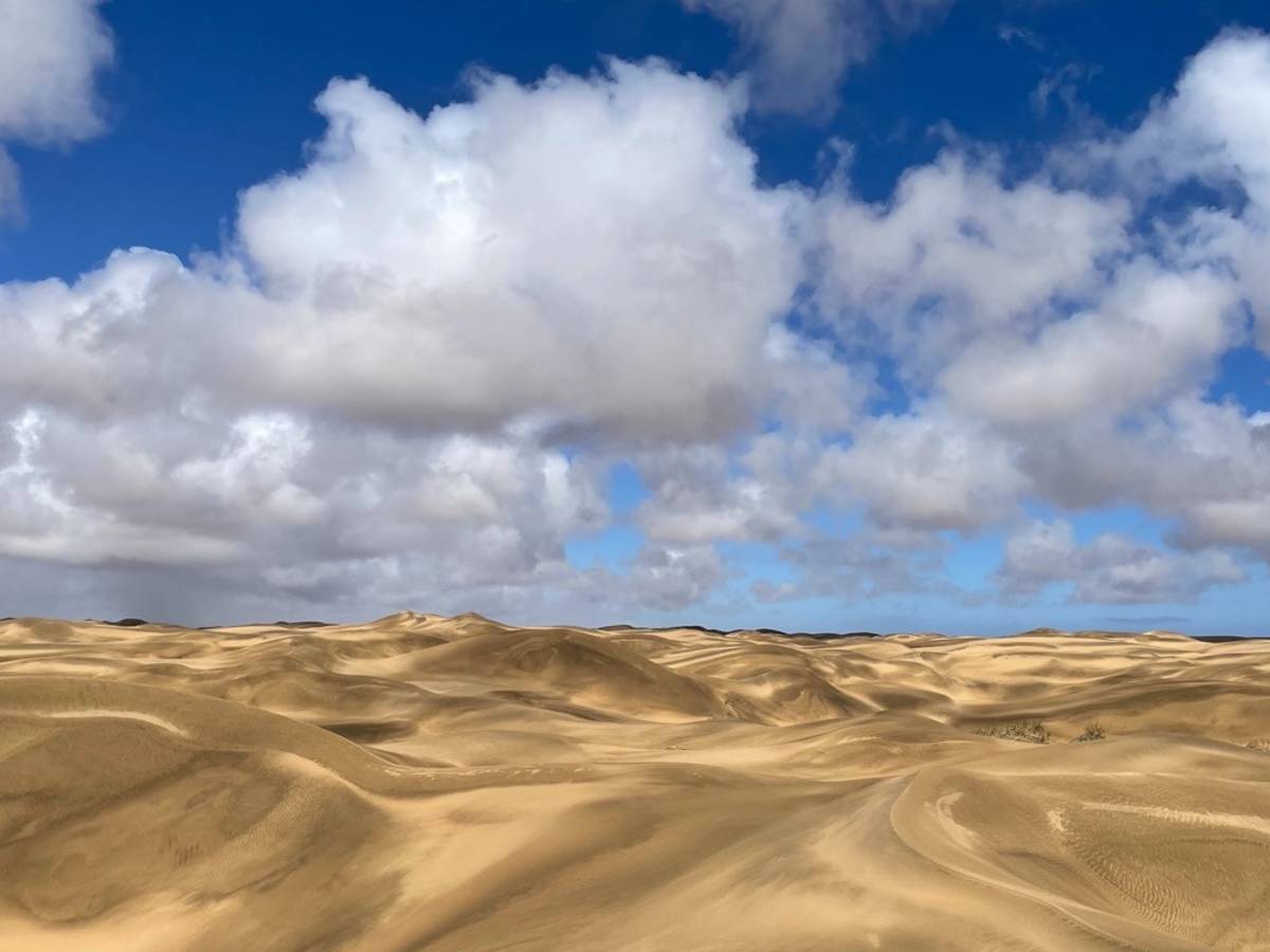 Vast golden sand dunes stretch under a dramatic cloudy blue sky in the Namib Desert, Namibia