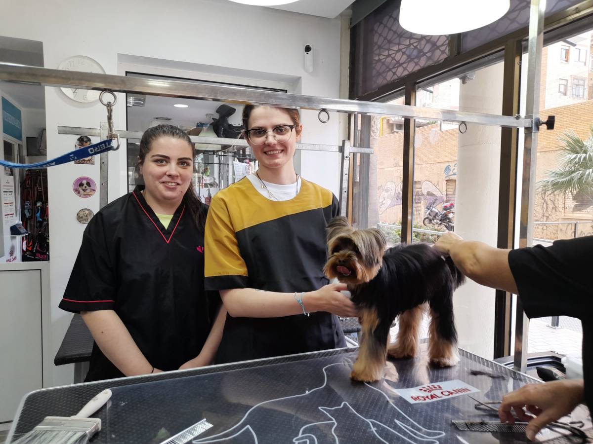 Vet internship