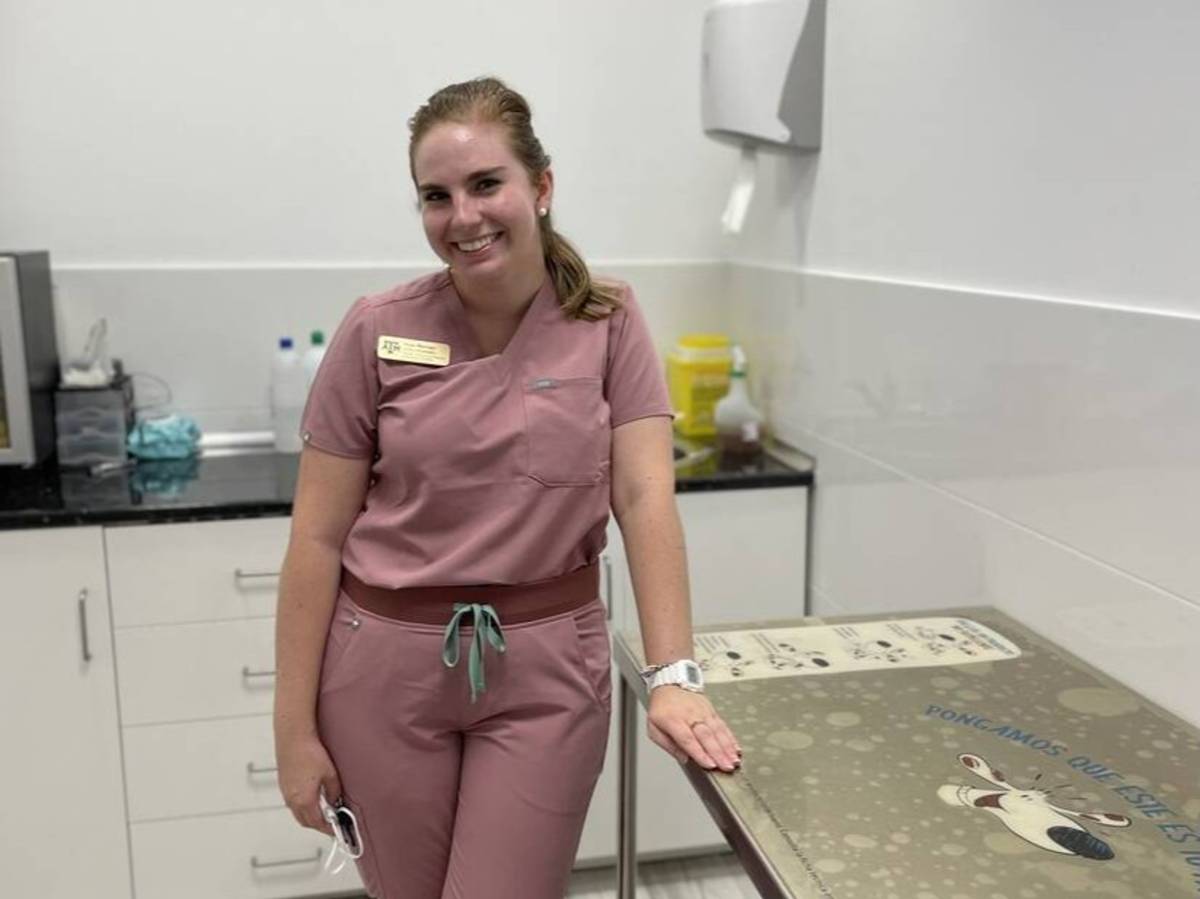 Veterinary Intern