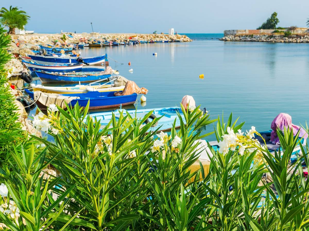 View in Carthage