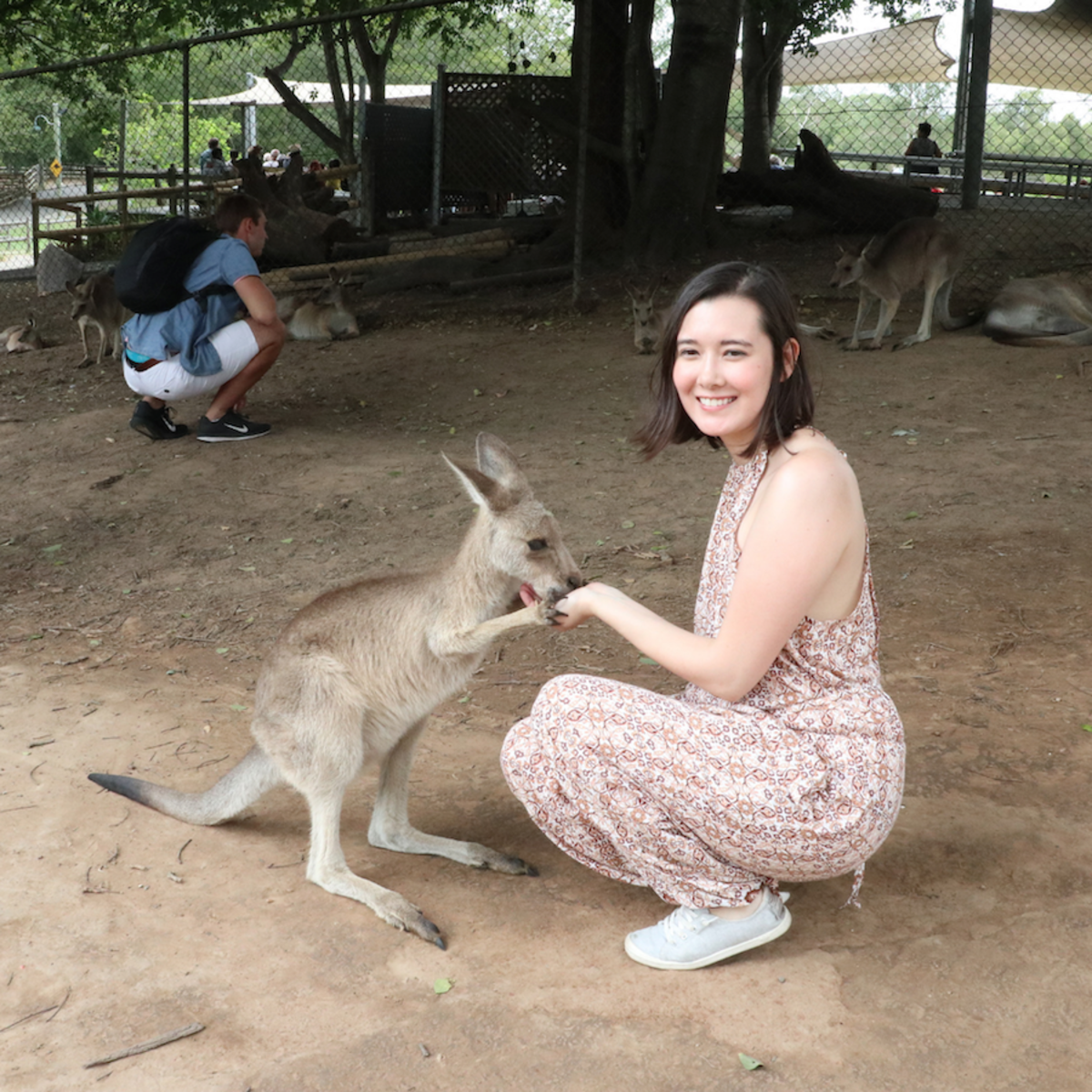 Virtual Journalism Internship