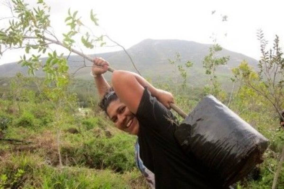 volunteer carrying a tree seedling
