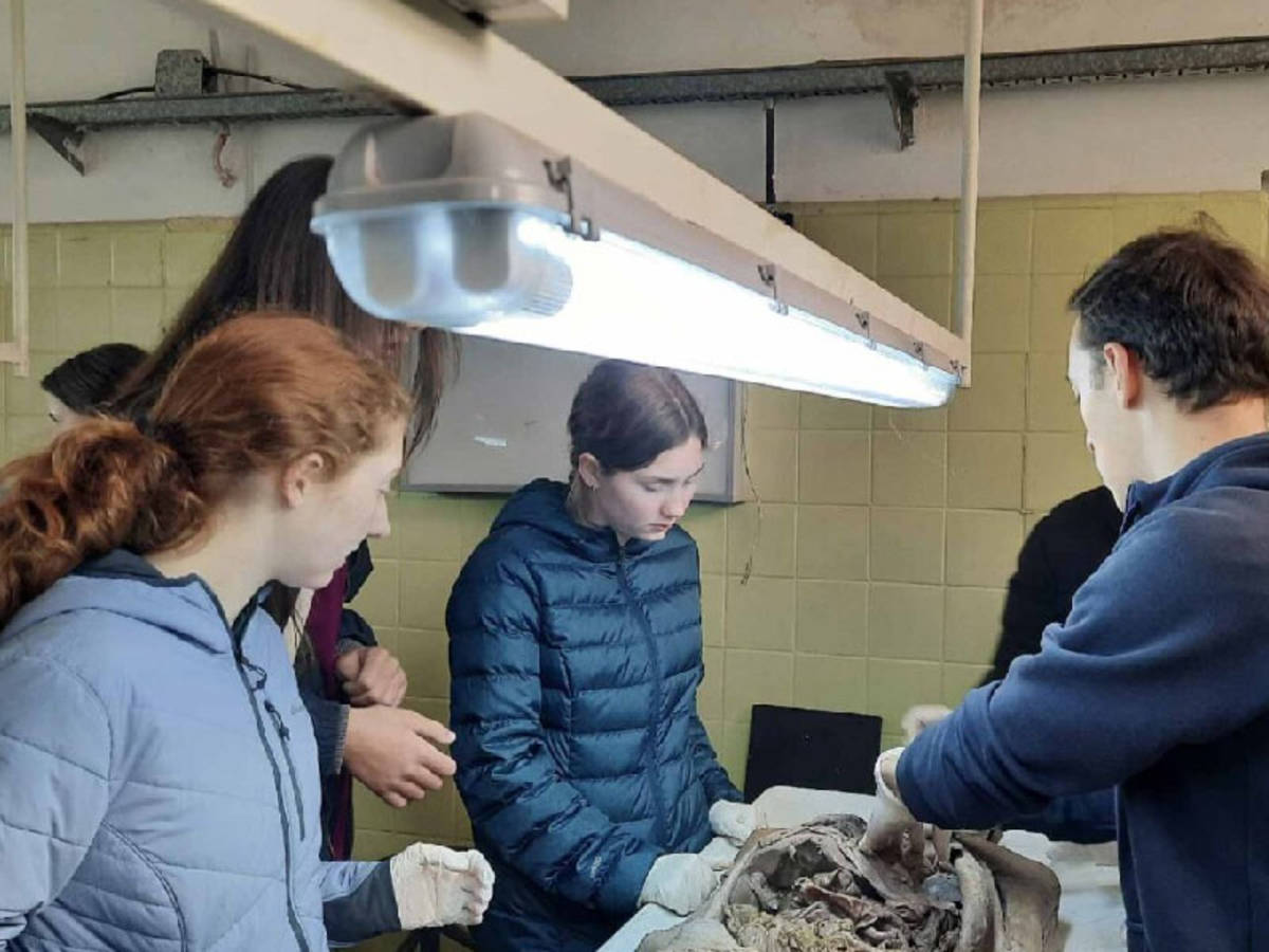 volunteer in the medical program
