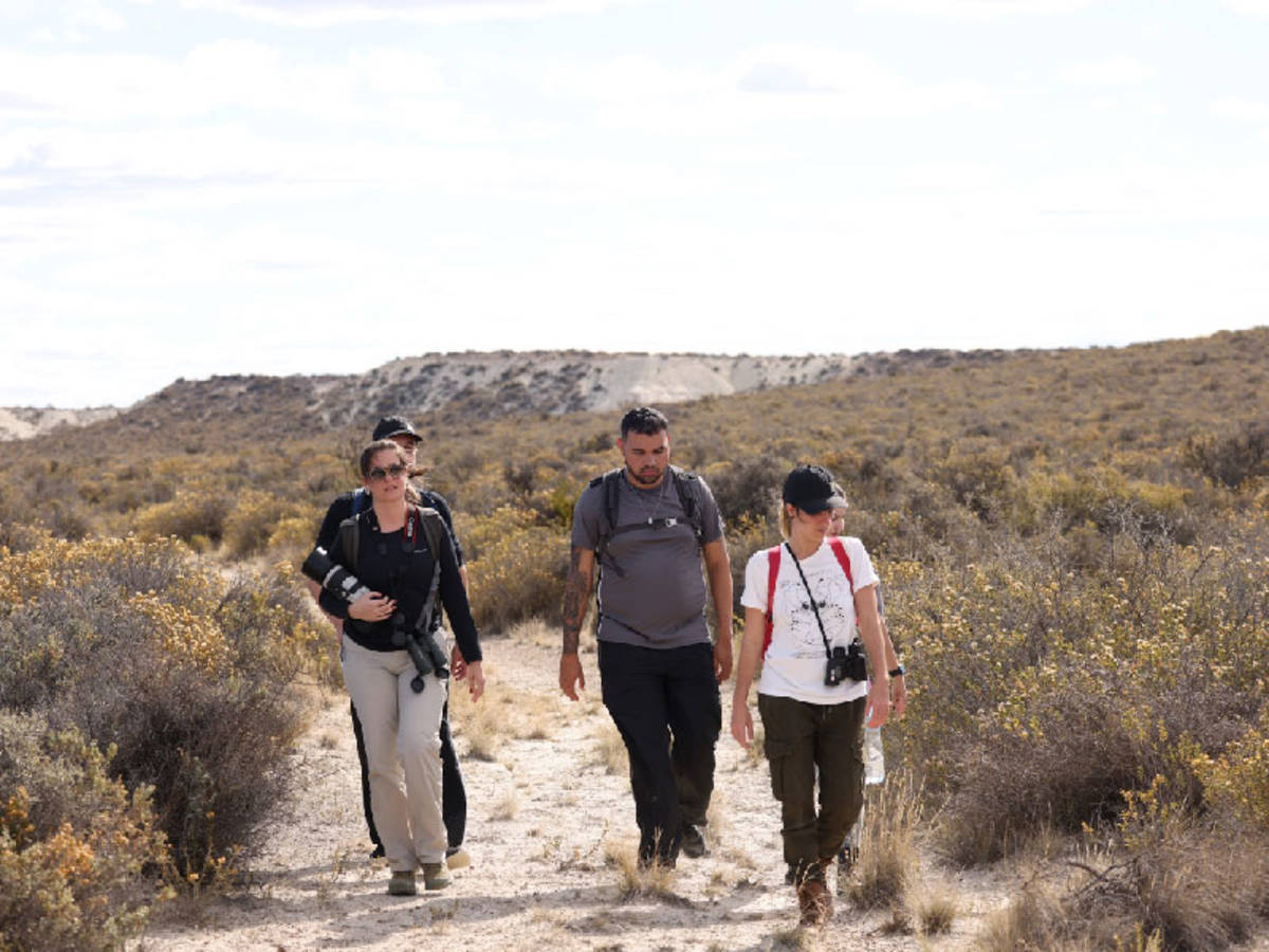 volunteer in the whale and puma conservation project in Argentine Patagonia.