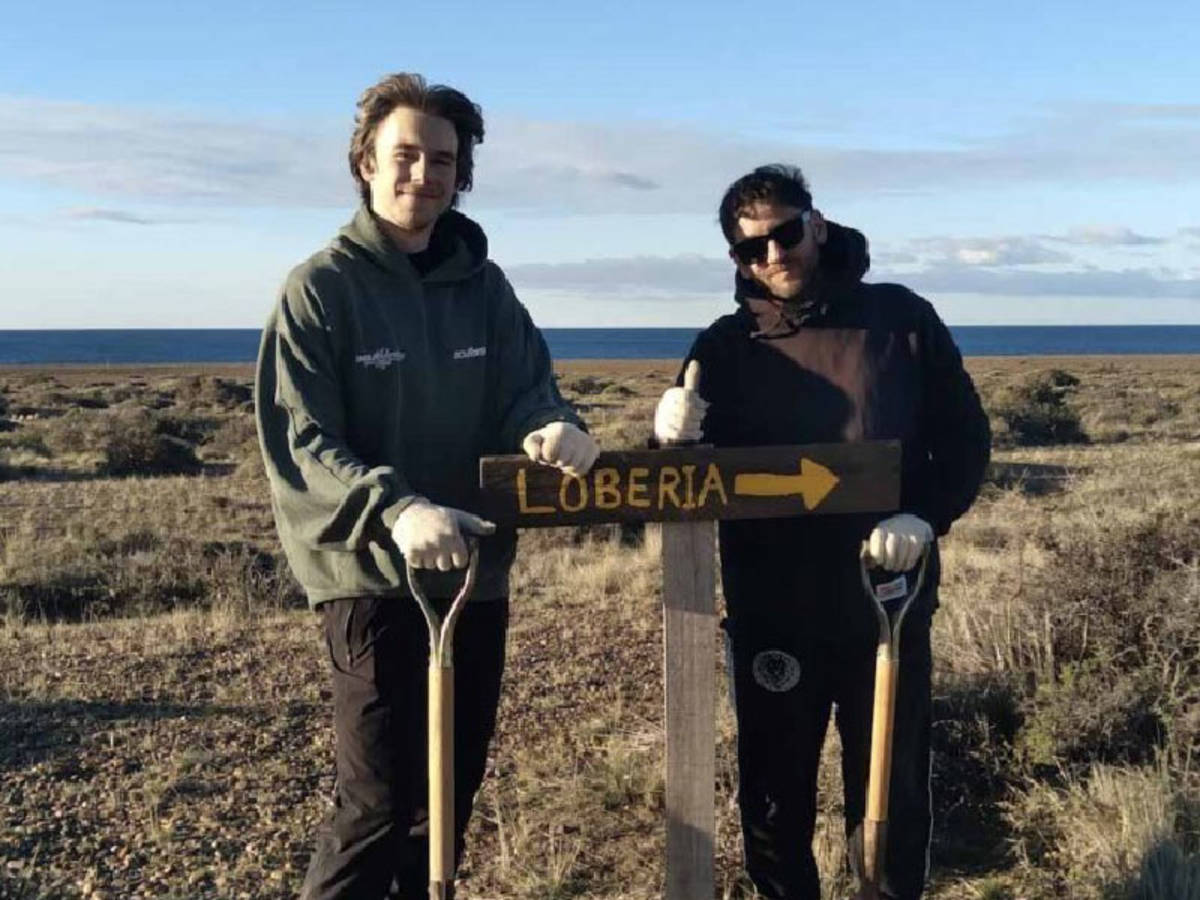 volunteer in the whale and puma conservation project in Argentine Patagonia.
