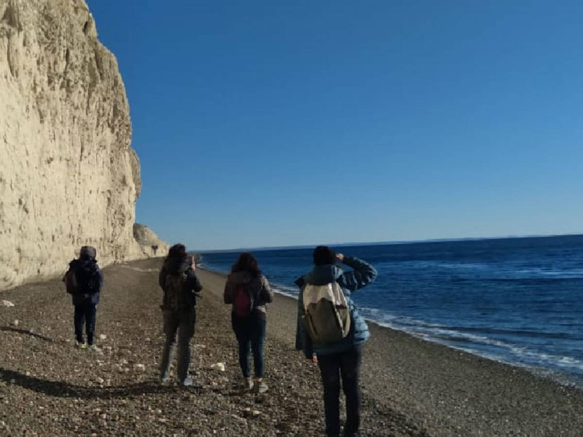 volunteer in the whale and puma conservation project in Argentine Patagonia.