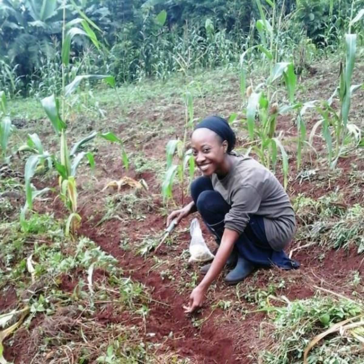 Volunteering on an organic farm in Uganda