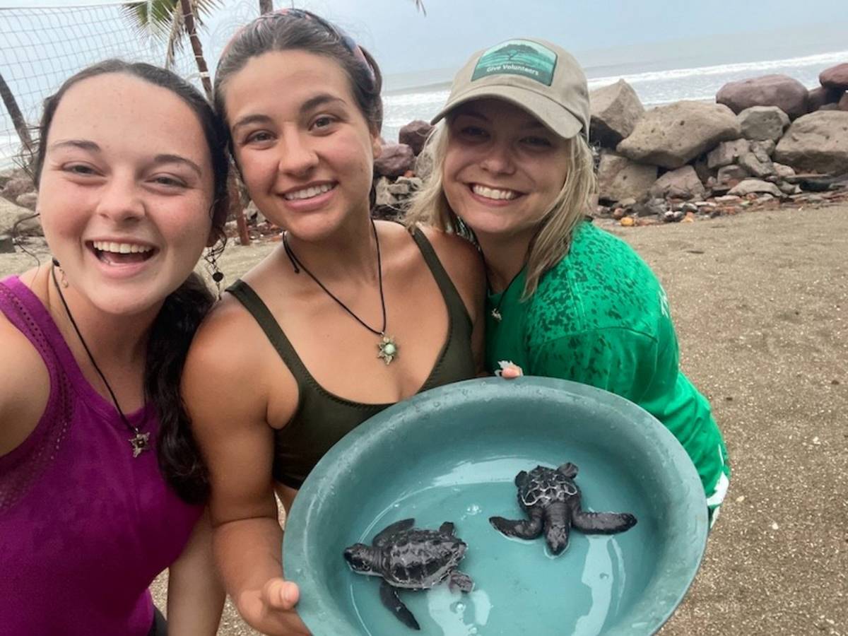 Volunteer releasing baby sea turtles on the Pacific Ocean in Nicaragua
