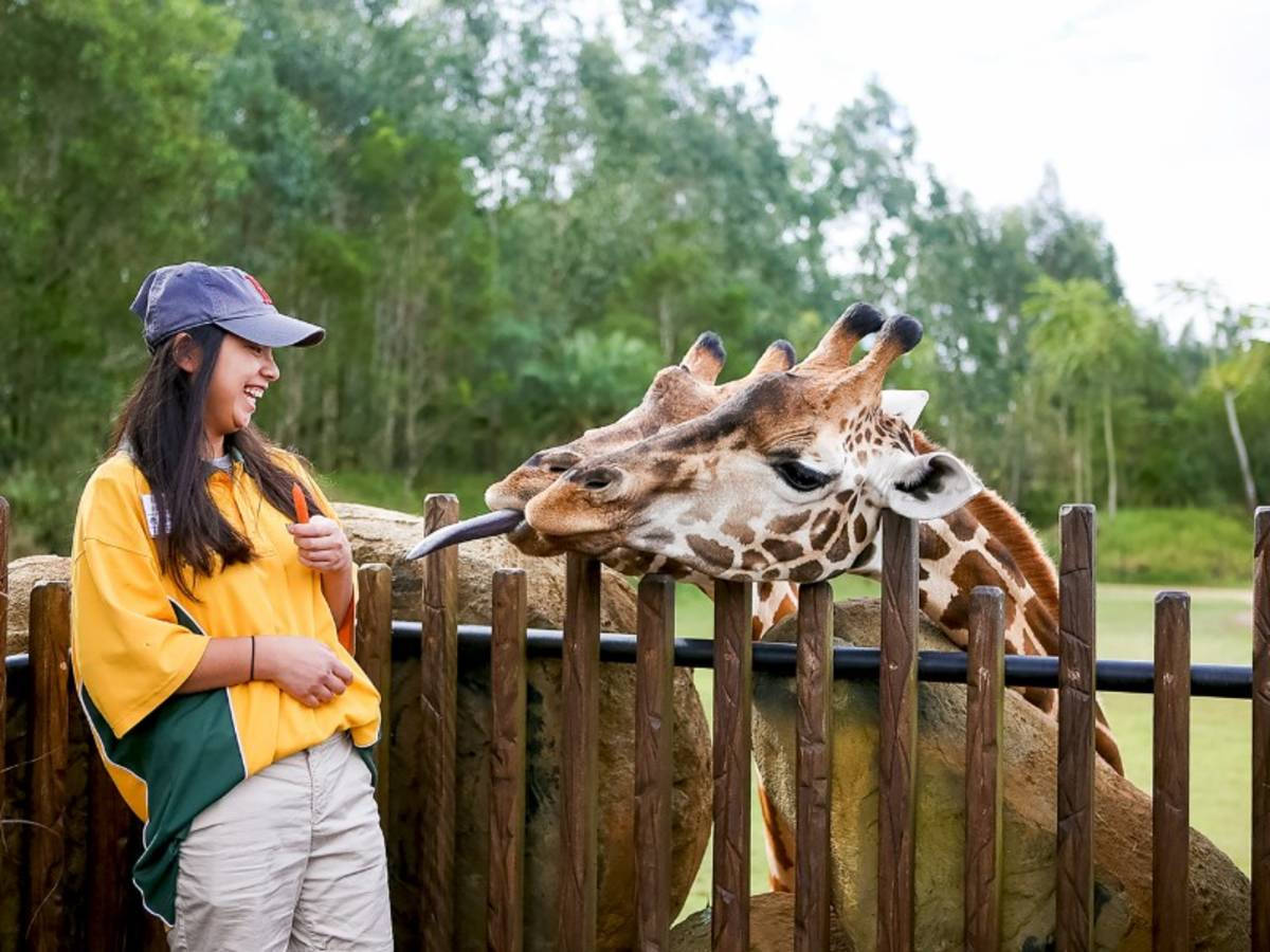 Volunteering at zoo