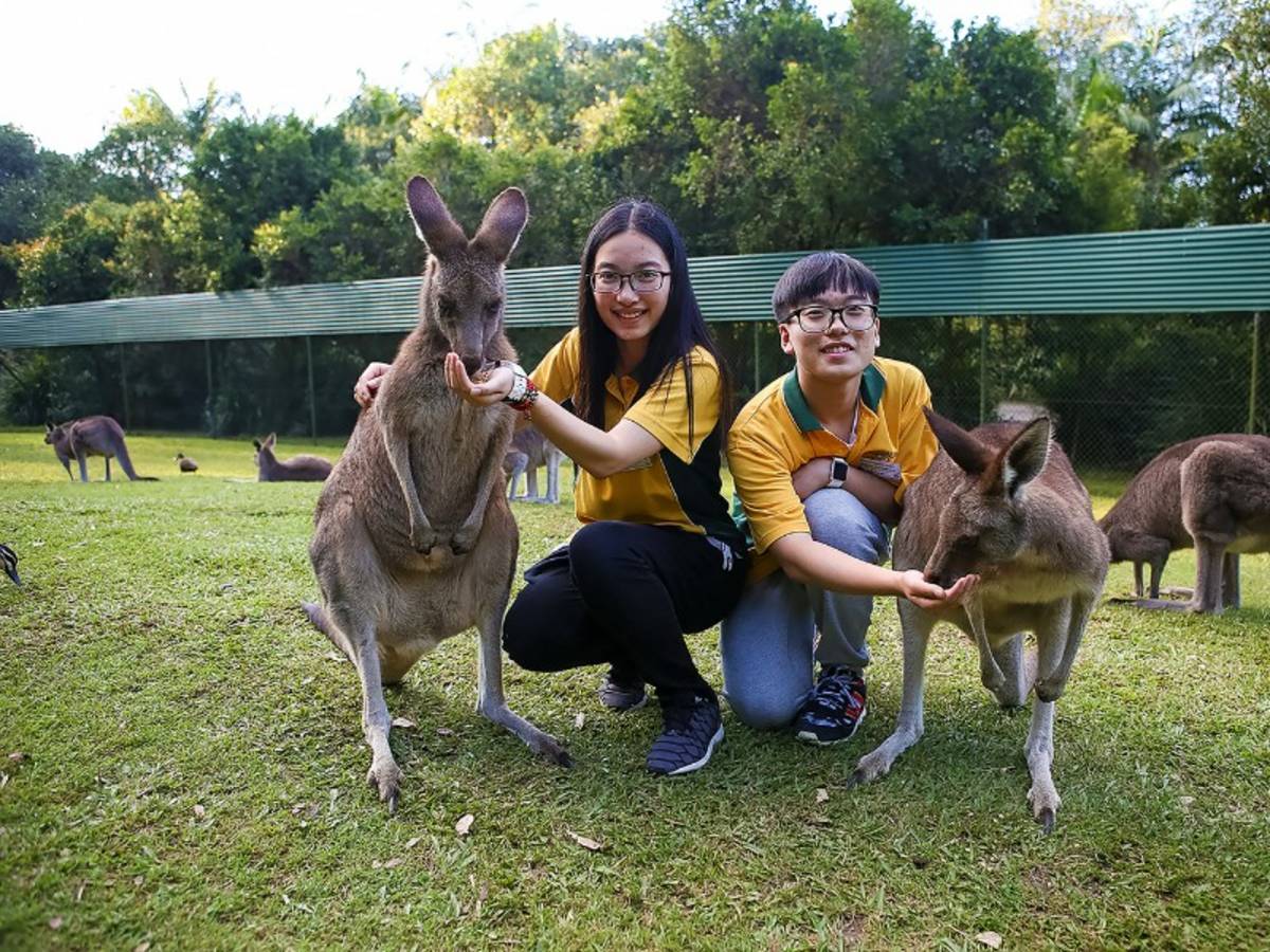 Volunteering at zoo