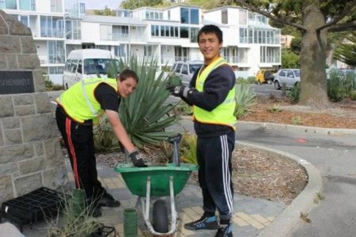 Volunteers Auckland Environmental Conservation North Island in New Zealand