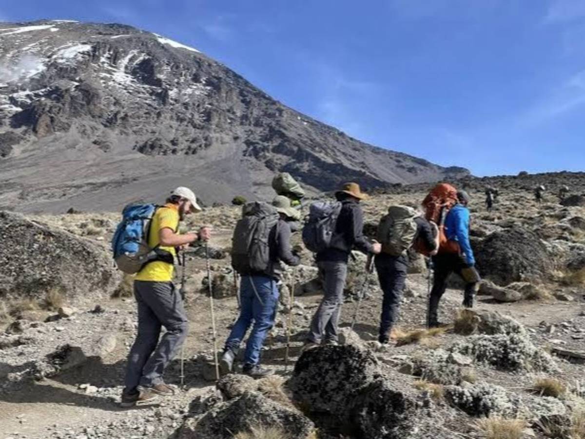 Volunteers climbing Mt. Kilimanjaro