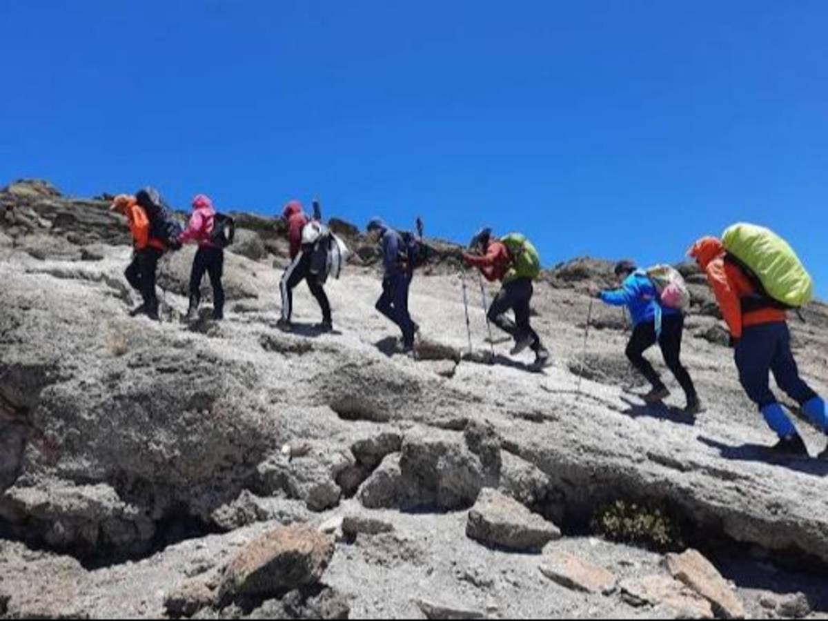 Volunteers climbing Mt. Kilimanjaro