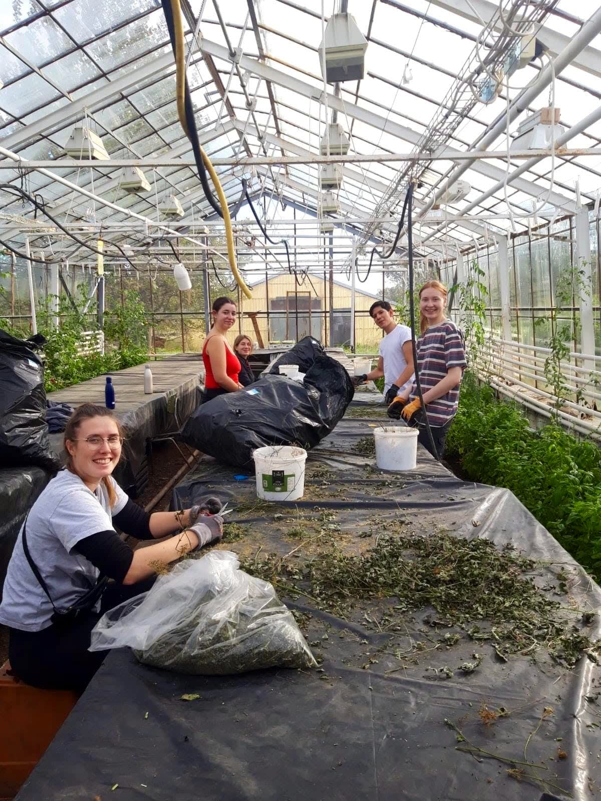 volunteers eco farming project iceland