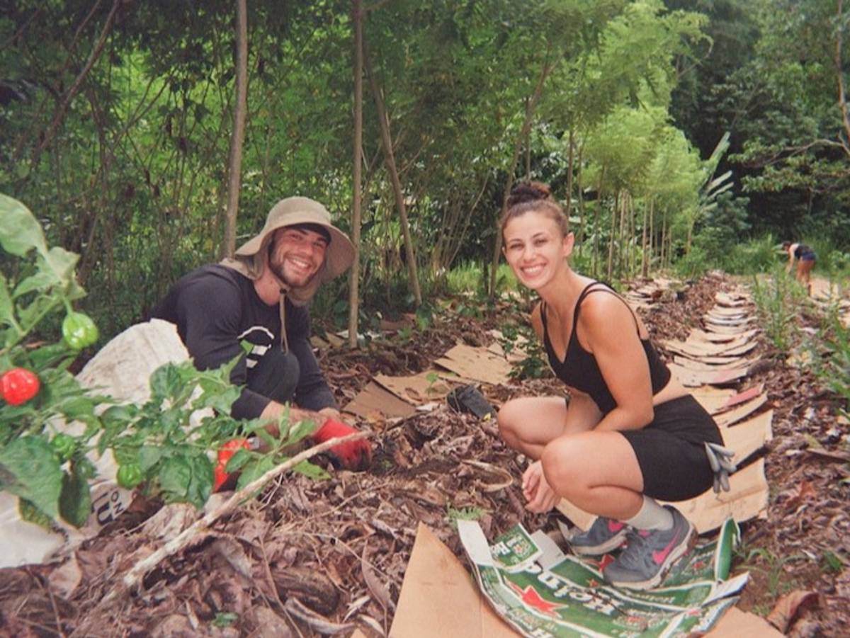 Volunteers working on sustainable farm in the jungles of Costa Rica