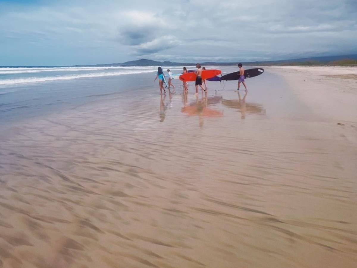 Walking on beach with surf board